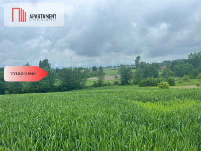 Działka z warunkami zabudowy Koniecwałd - Koniecwałd  -
Pomorskie Zdjęcie nr 10