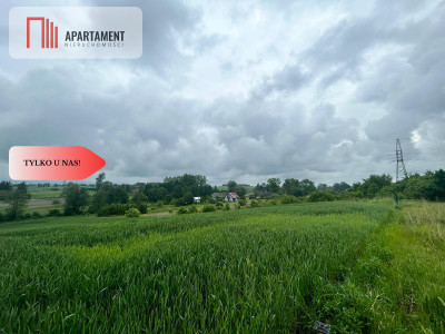 Działka z warunkami zabudowy Koniecwałd - Koniecwałd  -
Pomorskie Zdjęcie nr 2