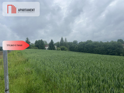 Działka z warunkami zabudowy Koniecwałd - Koniecwałd  -
Pomorskie Zdjęcie nr 3