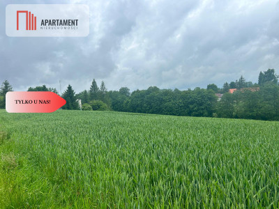 Działka z warunkami zabudowy Koniecwałd - Koniecwałd  -
Pomorskie Zdjęcie nr 4