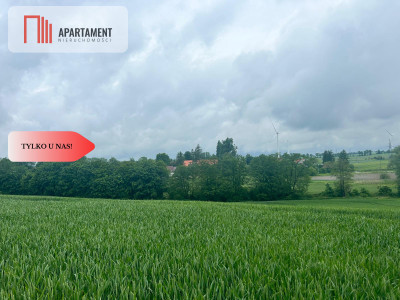 Działka z warunkami zabudowy Koniecwałd - Koniecwałd  -
Pomorskie Zdjęcie nr 5