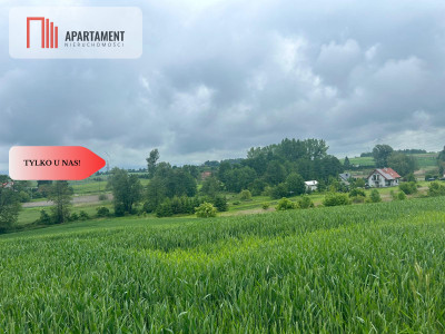 Działka z warunkami zabudowy Koniecwałd - Koniecwałd  -
Pomorskie Zdjęcie nr 6