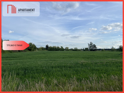 Działka Budowlana Dobra MEDIA MPZP SUPER OKOLICA - Dobra  - Dolnośląskie