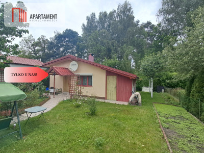  Działka ROD Żurczyn - Żurczyn  -
Kujawsko-Pomorskie Zdjęcie nr 2