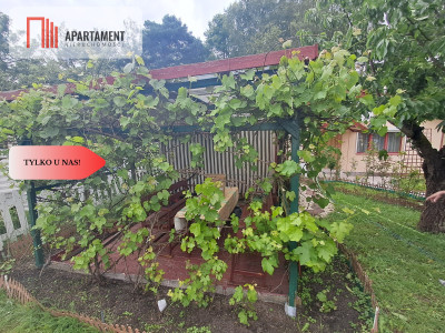  Działka ROD Żurczyn - Żurczyn  -
Kujawsko-Pomorskie Zdjęcie nr 3