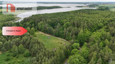 Działka z linią brzegową  Mazury media WZ - Zalewo  -
Warmińsko-Mazurskie Zdjęcie nr 3