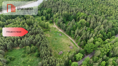 Działka z linią brzegową  Mazury media WZ - Zalewo  -
Warmińsko-Mazurskie Zdjęcie nr 4