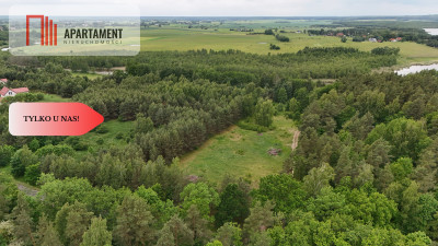 Działka z linią brzegową  Mazury media WZ - Zalewo  -
Warmińsko-Mazurskie Zdjęcie nr 7