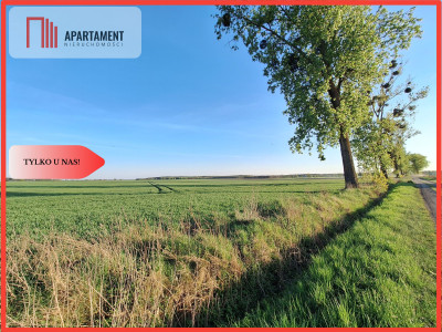 Działka w atrakcyjnej cenie - Boruchowo  - Wielkopolskie