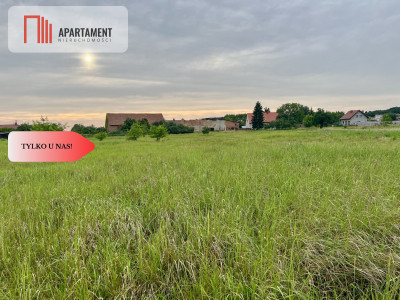 BEZ PCC Działki Budowlane Lubiąż FV MPZP - Lubiąż  -
Dolnośląskie Zdjęcie nr 4