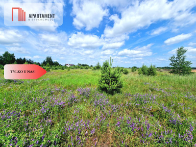 Działka budowlana 800m od jeziora - Wymysłowo  - Wielkopolskie