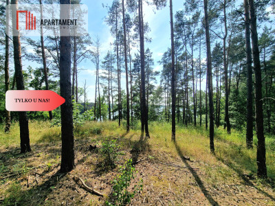 Działka budowlana 800m od jeziora - Wymysłowo  -
Wielkopolskie Zdjęcie nr 6