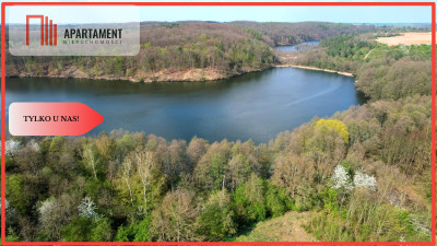 działka rekreacyjna Tryszczyn lasy jezioro - Tryszczyn  -
Kujawsko-Pomorskie Zdjęcie nr 2