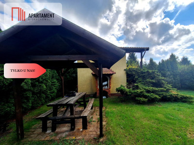 działka rekreacyjna Tryszczyn lasy jezioro - Tryszczyn  -
Kujawsko-Pomorskie Zdjęcie nr 3