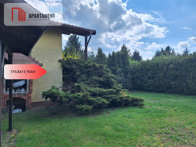 działka rekreacyjna Tryszczyn lasy jezioro - Tryszczyn  -
Kujawsko-Pomorskie Zdjęcie nr 4