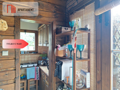 działka rekreacyjna Tryszczyn lasy jezioro - Tryszczyn  -
Kujawsko-Pomorskie Zdjęcie nr 9