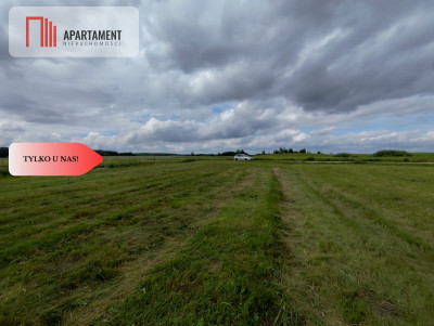 TYLKO U NAS Działka z możliwością zabudowy - Dąbrowa  -
Kujawsko-Pomorskie Zdjęcie nr 11