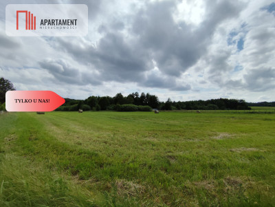 TYLKO U NAS Działka z możliwością zabudowy - Dąbrowa  -
Kujawsko-Pomorskie Zdjęcie nr 13