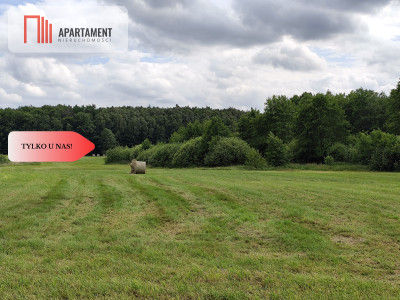 TYLKO U NAS Działka z możliwością zabudowy - Dąbrowa  -
Kujawsko-Pomorskie Zdjęcie nr 14