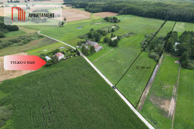 TYLKO U NAS Działka z możliwością zabudowy - Dąbrowa  -
Kujawsko-Pomorskie Zdjęcie nr 4