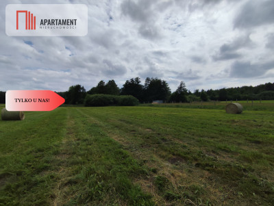 TYLKO U NAS Działka z możliwością zabudowy - Dąbrowa  -
Kujawsko-Pomorskie Zdjęcie nr 8