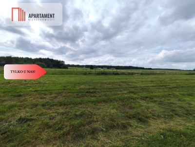 TYLKO U NAS Działka z możliwością zabudowy - Dąbrowa  -
Kujawsko-Pomorskie Zdjęcie nr 9