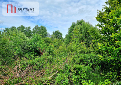 Spokojna okolica blisko lasu - Przyjaźń  -
Pomorskie Zdjęcie nr 2