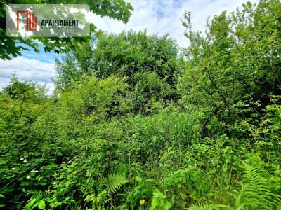 Spokojna okolica blisko lasu - Przyjaźń  -
Pomorskie Zdjęcie nr 4