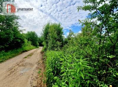 Spokojna okolica blisko lasu - Przyjaźń  -
Pomorskie Zdjęcie nr 5