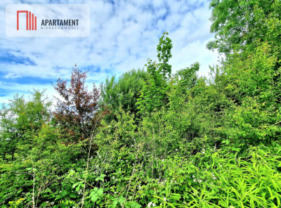 Spokojna okolica blisko lasu - Przyjaźń  -
Pomorskie Zdjęcie nr 6