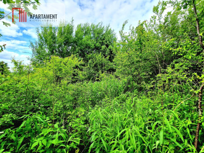 Spokojna okolica blisko lasu - Przyjaźń  -
Pomorskie Zdjęcie nr 8