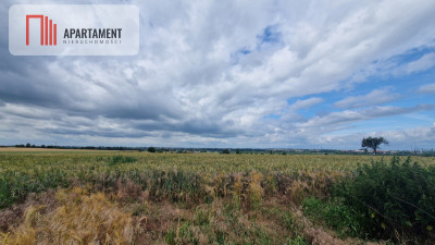 Działki MPZP w Żninie w dobrej cenie - Żnin  -
Kujawsko-Pomorskie Zdjęcie nr 4