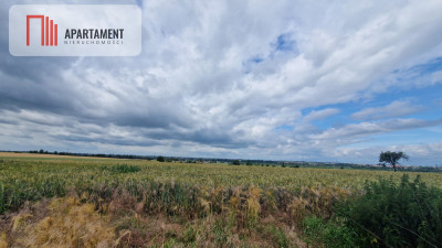 Działki MPZP w Żninie w dobrej cenie - Żnin  -
Kujawsko-Pomorskie Zdjęcie nr 5