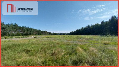 Działka w lesie - Sipiory  -
Kujawsko-Pomorskie Zdjęcie nr 2