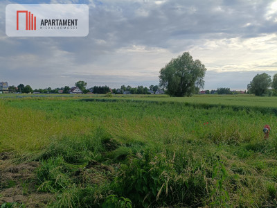 Cedry Wielkie Działka z mediami Idealna pod dom - Cedry Wielkie  -
Pomorskie Zdjęcie nr 4