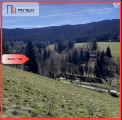 Teren niezalewowy w górach-działki 2000mkw - Nowy Gierałtów  - Dolnośląskie