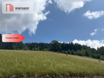 Teren niezalewowy w górach-działki 2000mkw - Nowy Gierałtów  -
Dolnośląskie Zdjęcie nr 5