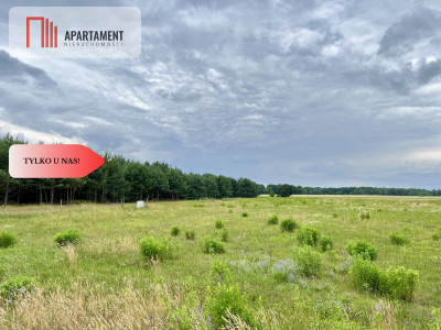 Szlakiem Napoleona Działki Budowlane BrunówMEDIA - Brunów  -
Dolnośląskie Zdjęcie nr 4
