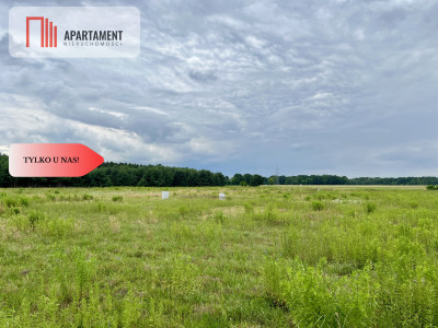 Szlakiem Napoleona Działki Budowlane BrunówMEDIA - Brunów  -
Dolnośląskie Zdjęcie nr 5