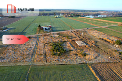 Nowa cena Duża działka blisko jeziora - Kruszka  -
Kujawsko-Pomorskie Zdjęcie nr 13