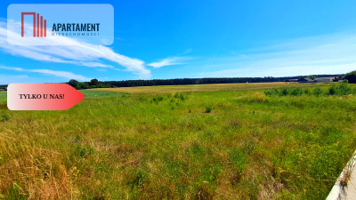 Nowa cena Duża działka blisko jeziora - Cekcyn  -
Kujawsko-Pomorskie Zdjęcie nr 4