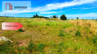 Nowa cena Duża działka blisko jeziora - Cekcyn  -
Kujawsko-Pomorskie Zdjęcie nr 5