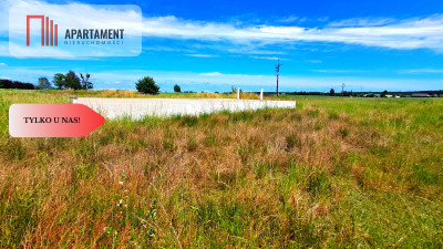 Nowa cena Duża działka blisko jeziora - Cekcyn  -
Kujawsko-Pomorskie Zdjęcie nr 7