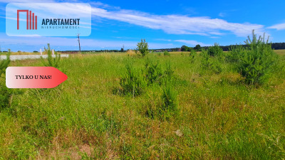 Nowa cena Duża działka blisko jeziora - Cekcyn  -
Kujawsko-Pomorskie Zdjęcie nr 8