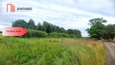 Tylko u Nas Działka o jakiej marzysz w Krojantach - Krojanty  -
Pomorskie Zdjęcie nr 2