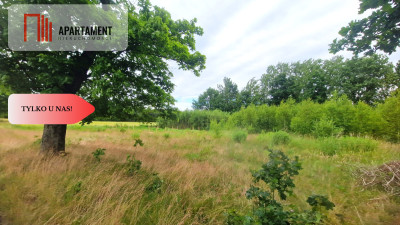 Tylko u Nas Działka o jakiej marzysz w Krojantach - Krojanty  -
Pomorskie Zdjęcie nr 3