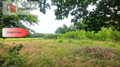 Tylko u Nas Działka o jakiej marzysz w Krojantach - Krojanty  -
Pomorskie Zdjęcie nr 4