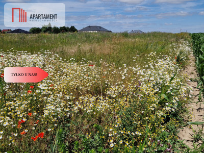 Działka budowlana z MPZP - zabudowa jednorodzinna - Obłaczkowo  -
Wielkopolskie Zdjęcie nr 4
