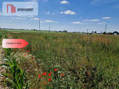 Działka budowlana z MPZP - zabudowa jednorodzinna - Obłaczkowo  -
Wielkopolskie Zdjęcie nr 8