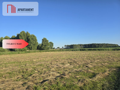 Atrakcyjne działki budowlane w Rynarzewie - powiat nakielski  -
Kujawsko-Pomorskie Zdjęcie nr 7